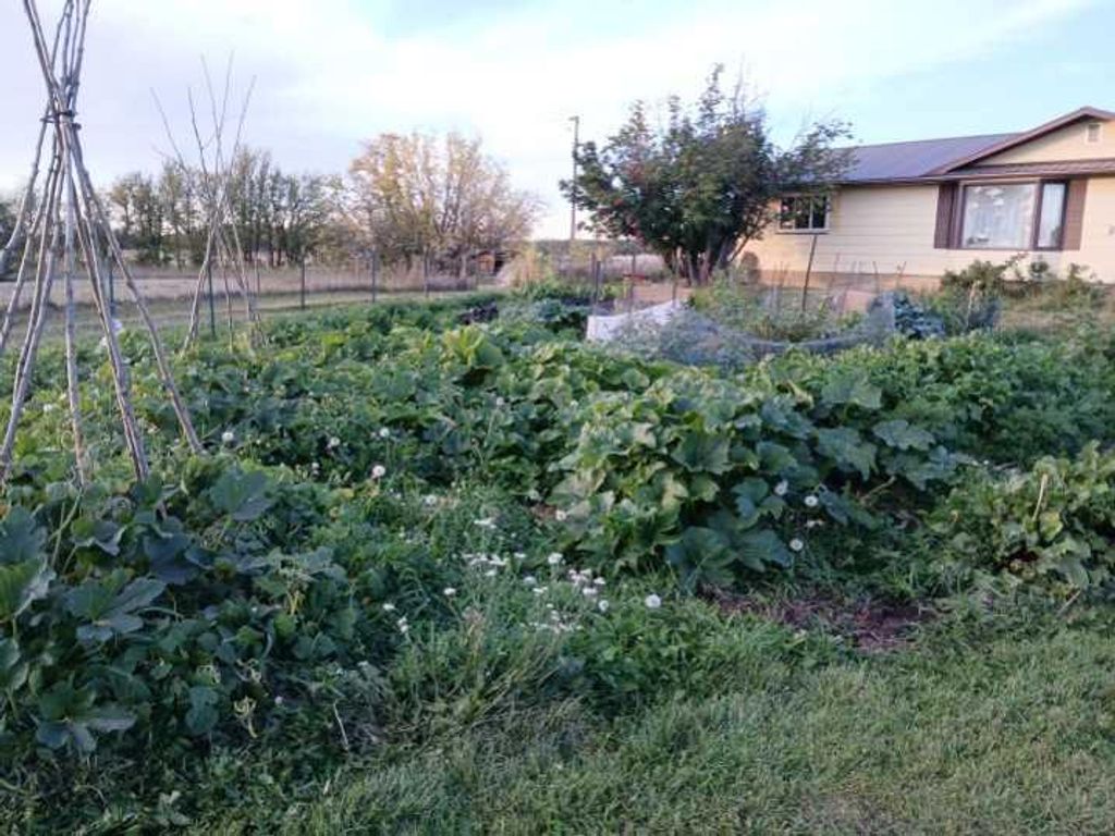 Photo of 16509 749 Highway, High Prairie, AB T0G 1E0 (MLS # A2293249)