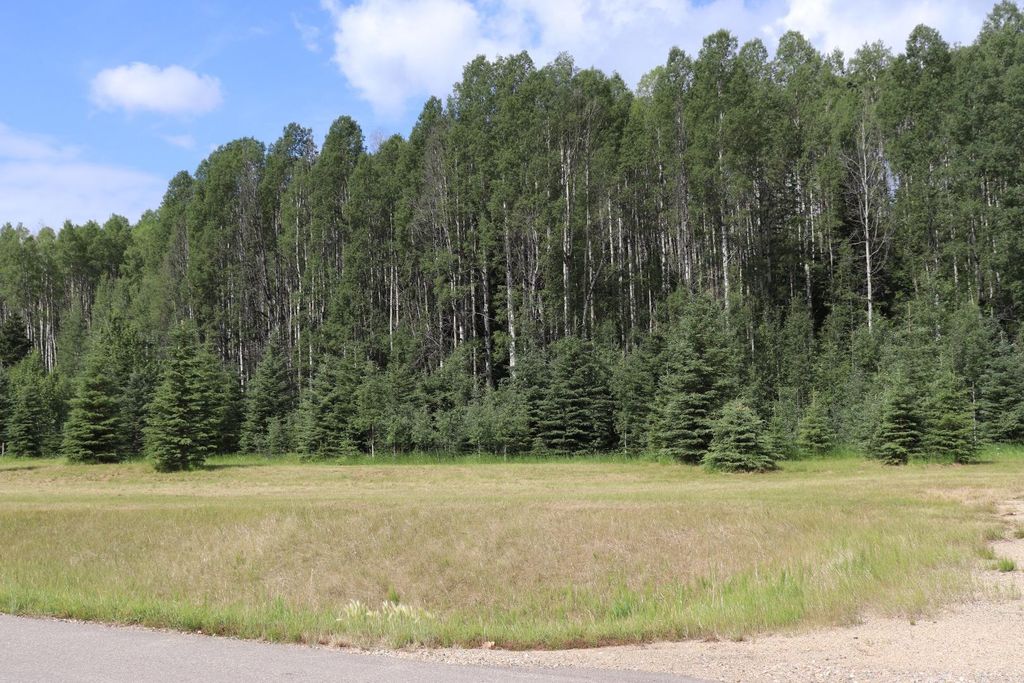 Photo of 165111 Township Road 532A Subdivision #24, Rural Yellowhead County, AB T7E 3A6 (MLS # A1128558)