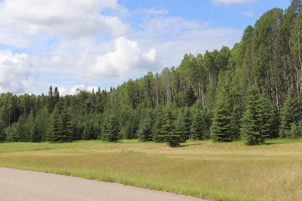 Photo of 165111 Township Road 532A Subdivision #24, Rural Yellowhead County, AB T7E 3A6 (MLS # A1128558)