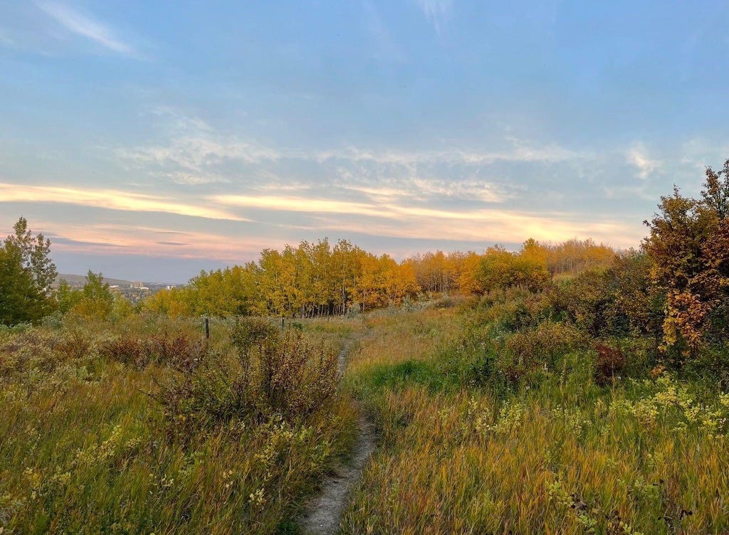 Photo of 270 Cougar Ridge Drive SW, Calgary, AB T3H 5S6 (MLS # A2350846)