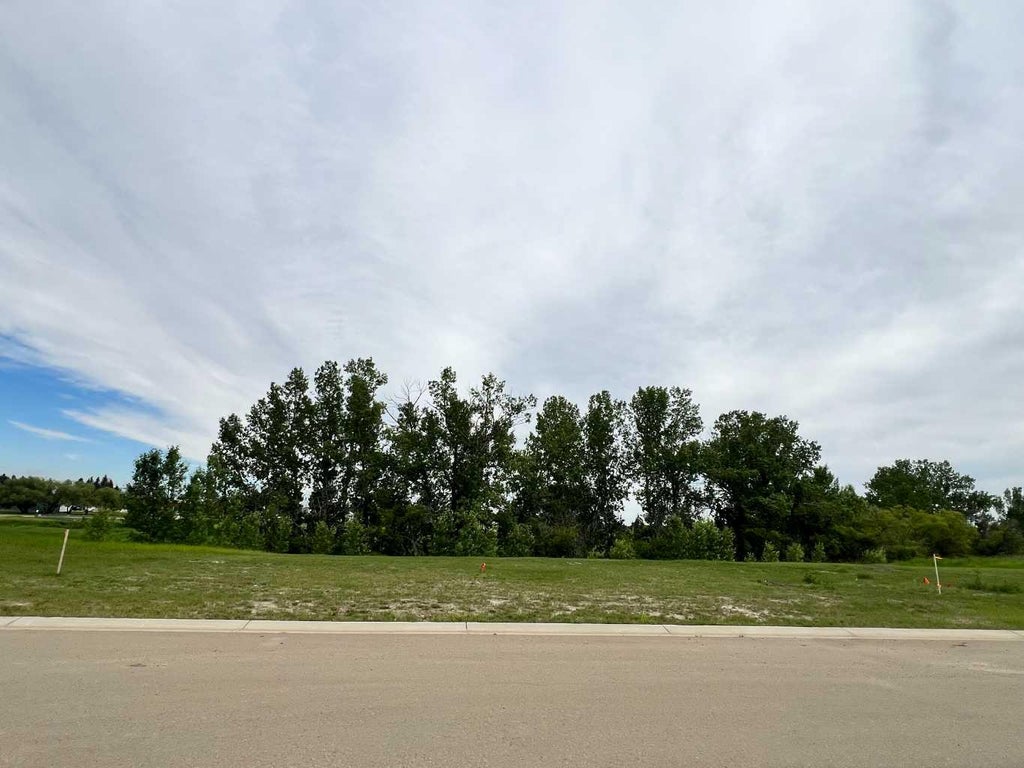 Photo of 5212 46 Street, Killam, AB T0B 2L0 (MLS # A2328642)