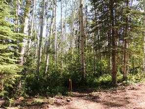 Lot #10 Wapiti River SW-21-69-10-W6
