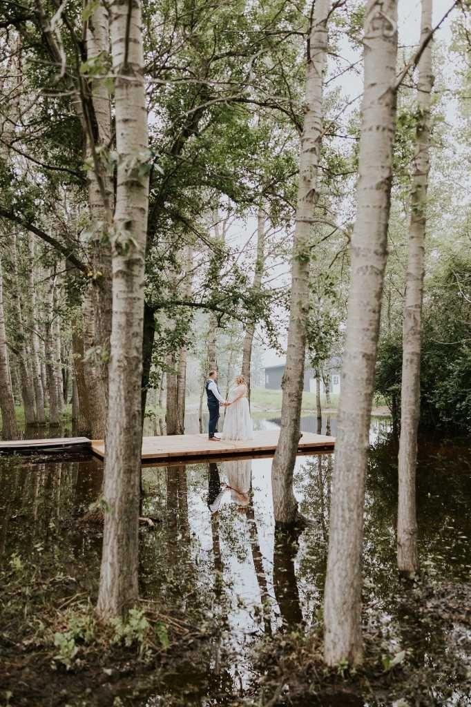 244082 817 Highway N