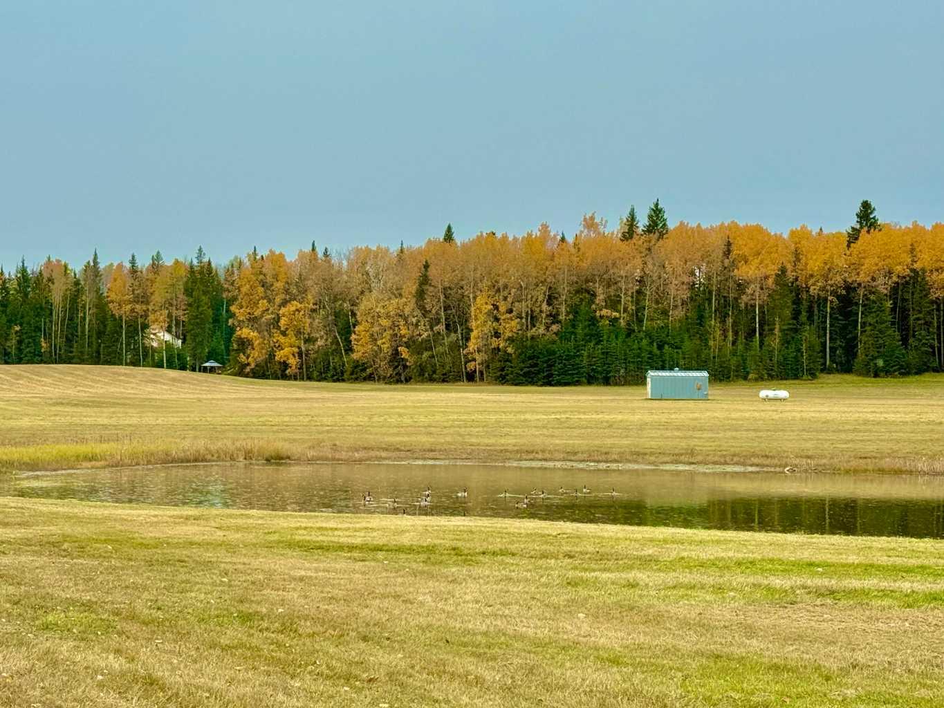 409 Valley View Close