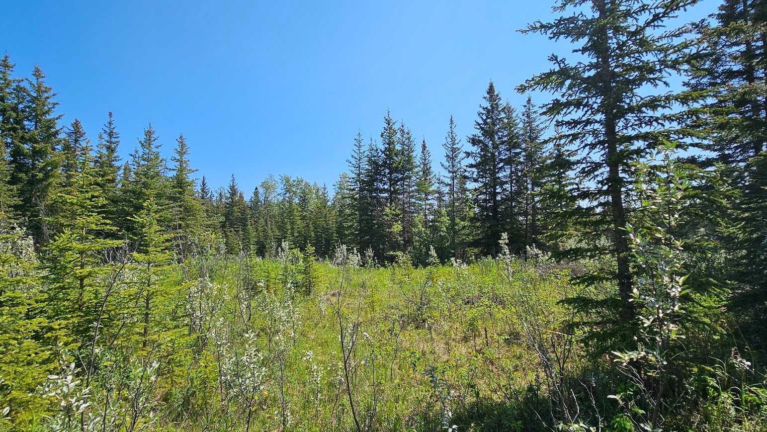 34364 Range Road 42 4