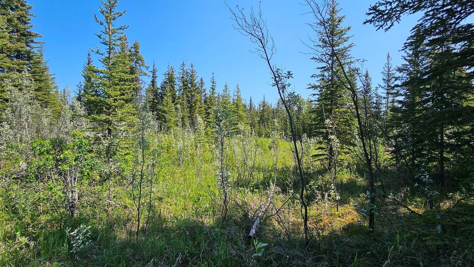 34364 Range Road 42 4