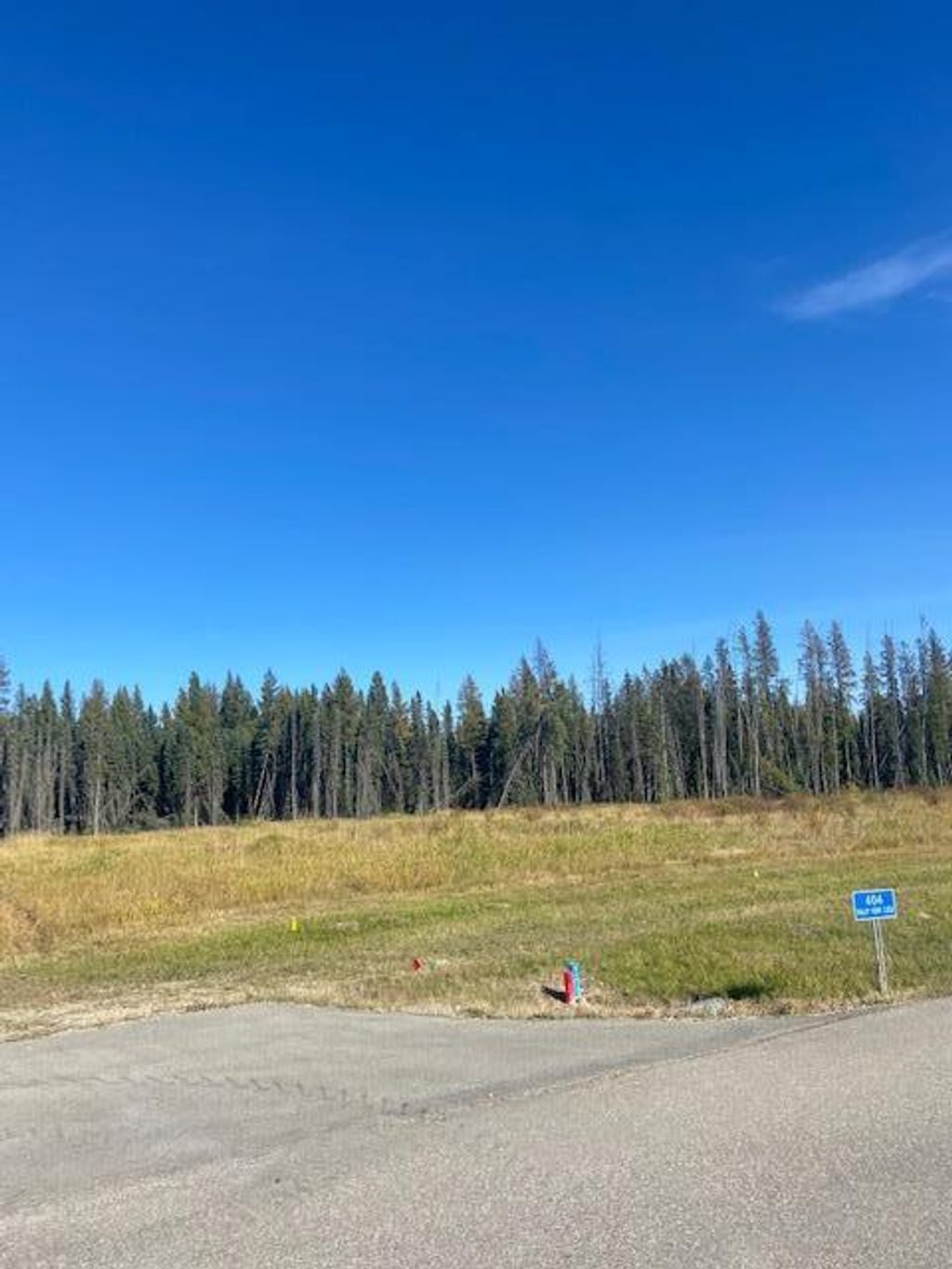 Photo of 404 Valley View Close, Rural Clearwater County, AB T4T 1A7 (MLS # A2004552)