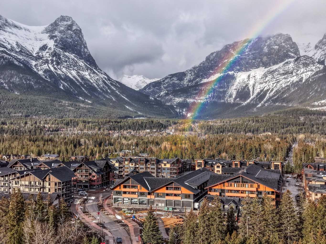 905 Spring Creek Drive 103