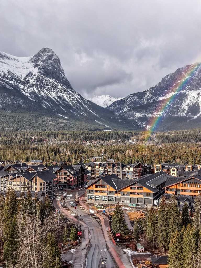 905 Spring Creek Drive 103