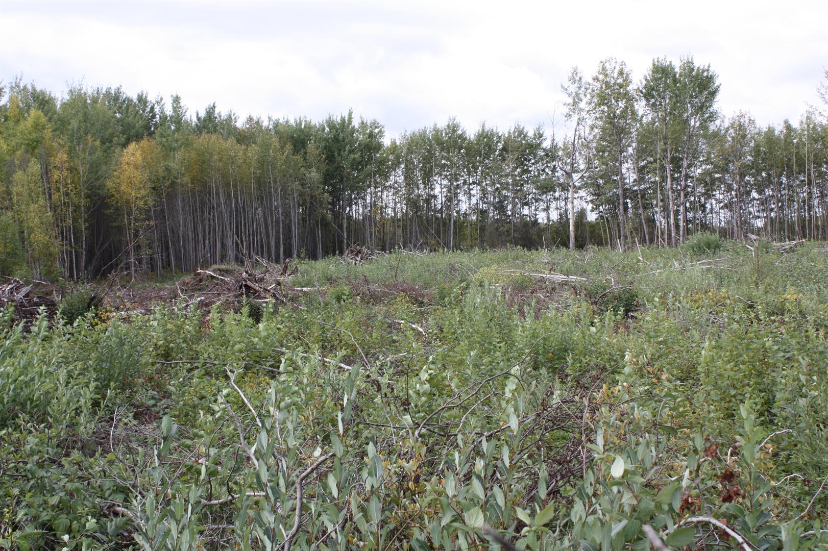 110 67324 MISSION Road