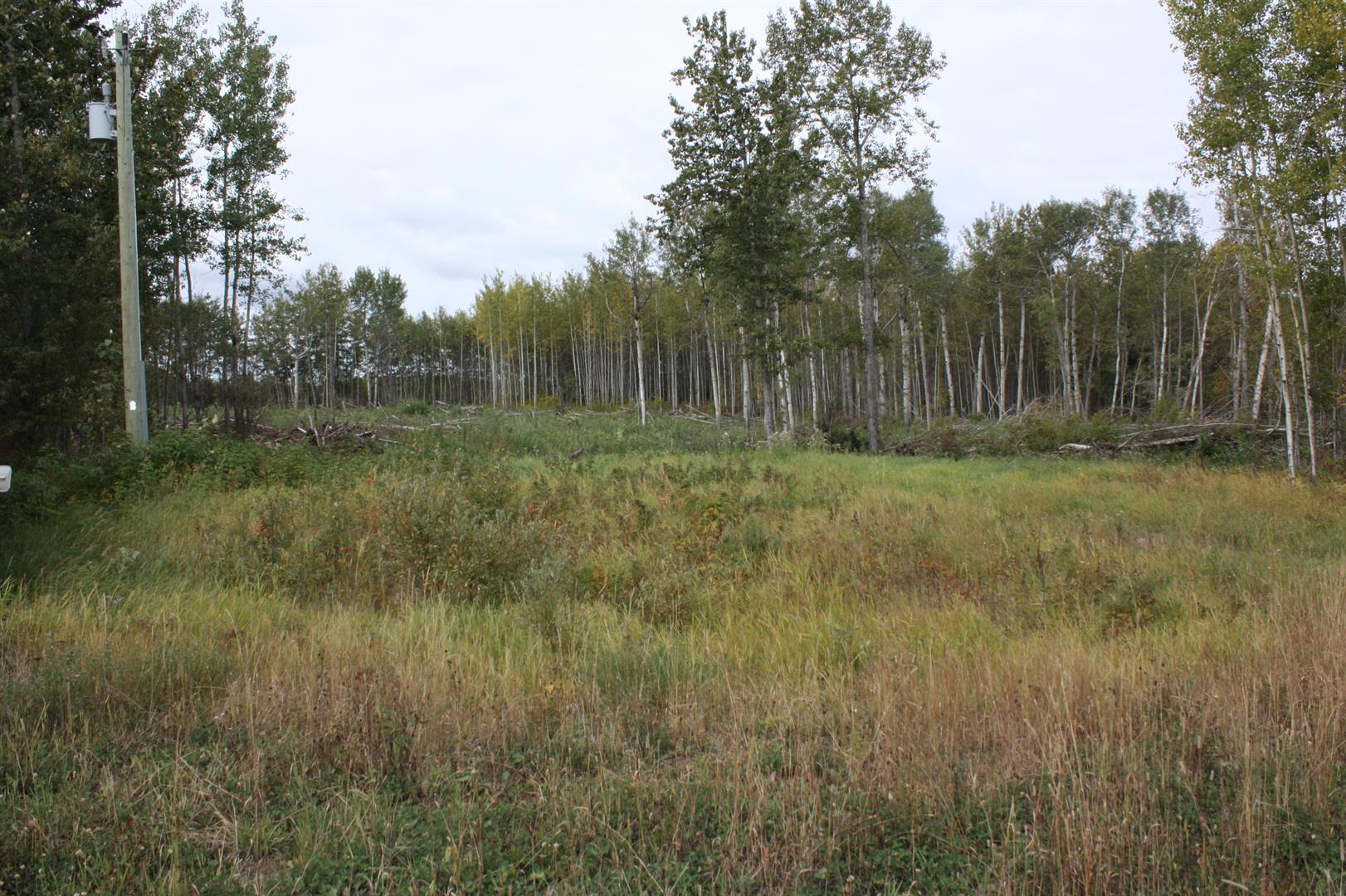 110 67324 MISSION Road