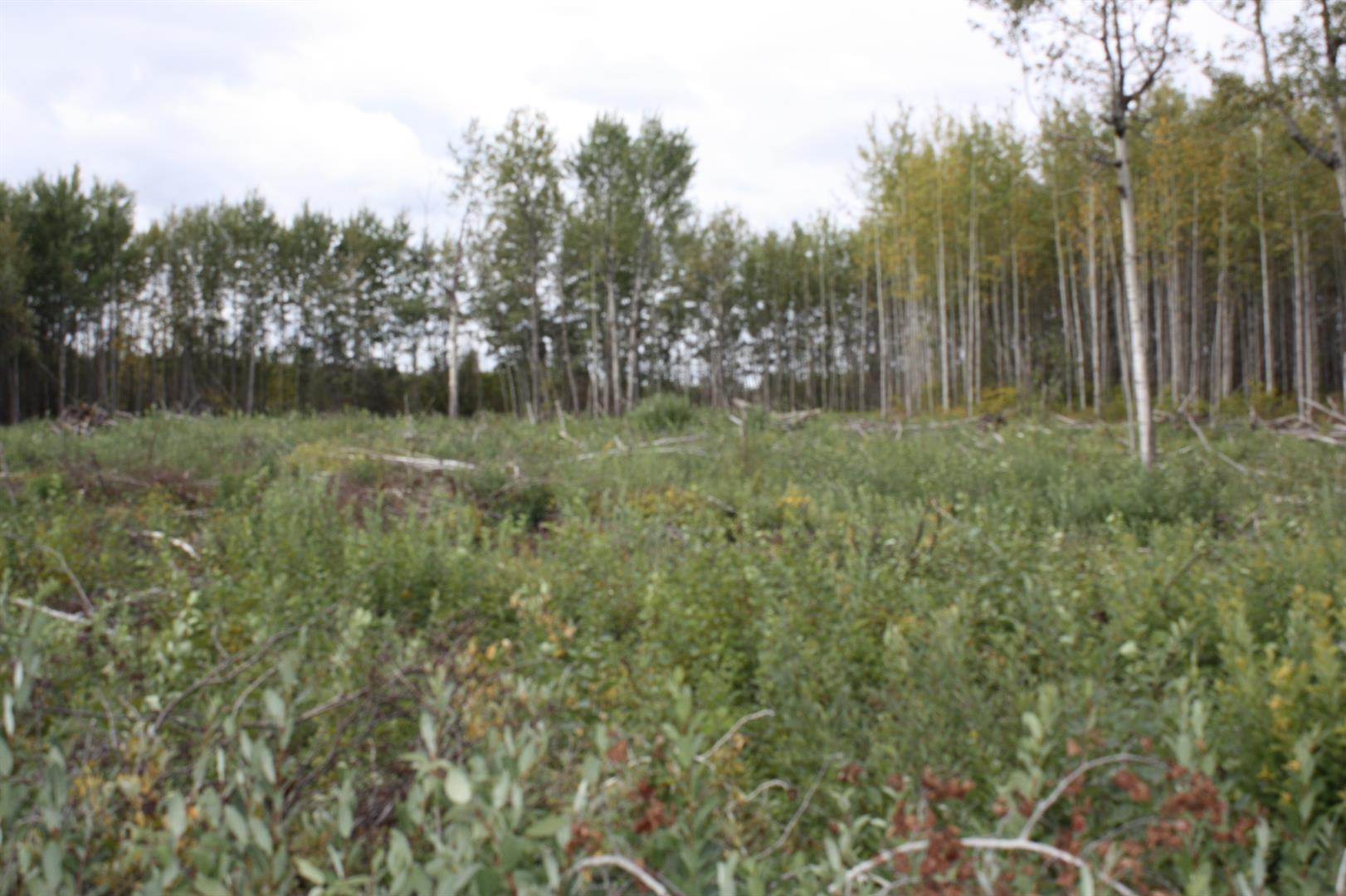 110 67324 MISSION Road