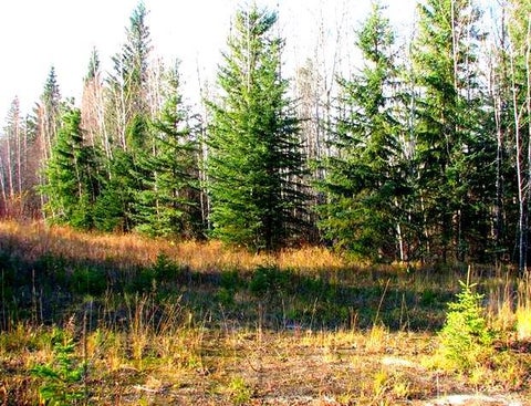 Photo of Lot 4 Old Mission Road, Lac La Biche, AB T0A 2C0 (MLS # A2183675)