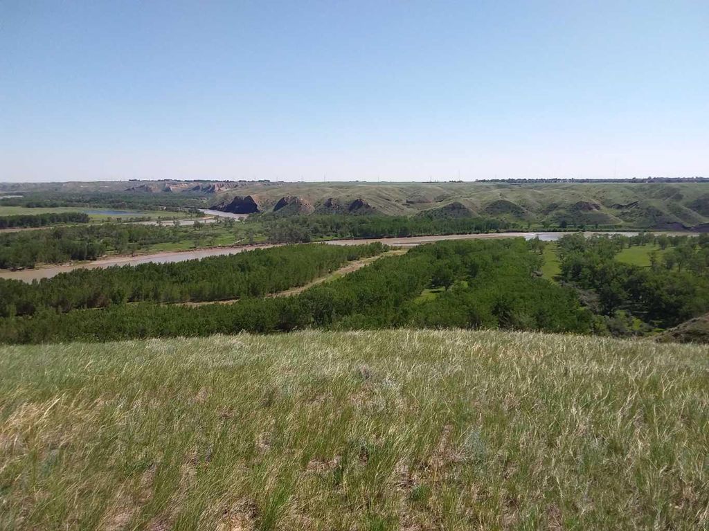 Photo of 4;22;9;14; SW,SE, Rural Lethbridge County, AB T0L 0V0 (MLS # A2294499)