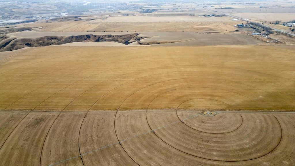 Photo of 4;22;9;14; SW,SE, Rural Lethbridge County, AB T0L 0V0 (MLS # A2294499)