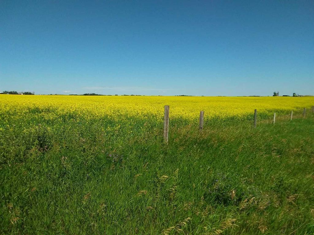 Photo of 4;22;9;14; SW,SE, Rural Lethbridge County, AB T0L 0V0 (MLS # A2294499)