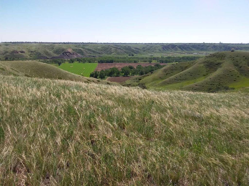 Photo of 4;22;9;14; SW,SE, Rural Lethbridge County, AB T0L 0V0 (MLS # A2294499)