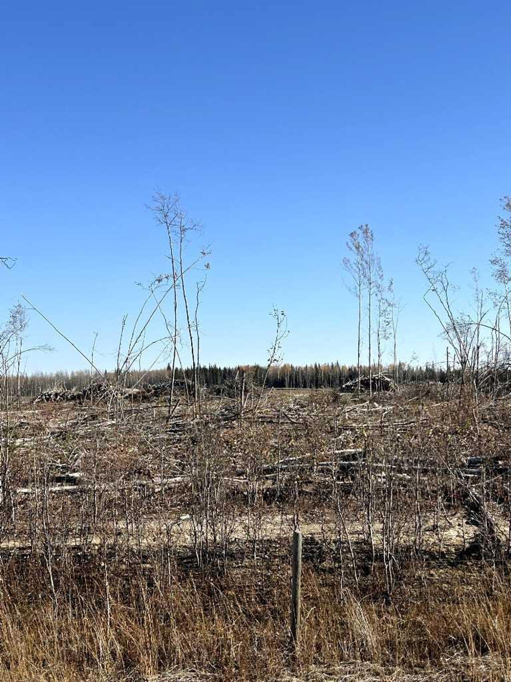 Photo of SW 16-83-2-W6, Rural Clear Hills County, AB T0H 0J0 (MLS # A2263504)