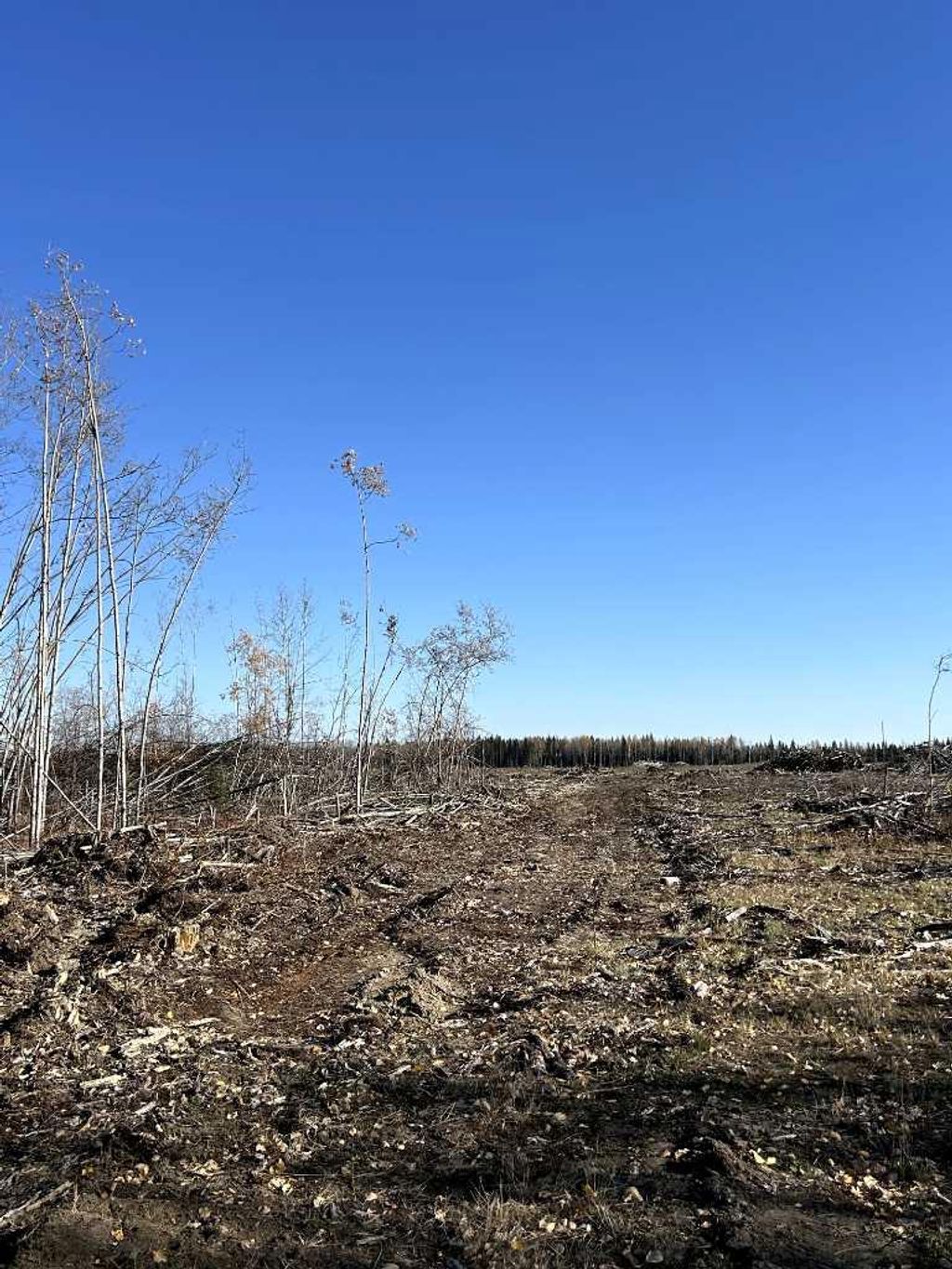 Photo of SW 16-83-2-W6, Rural Clear Hills County, AB T0H 0J0 (MLS # A2263504)