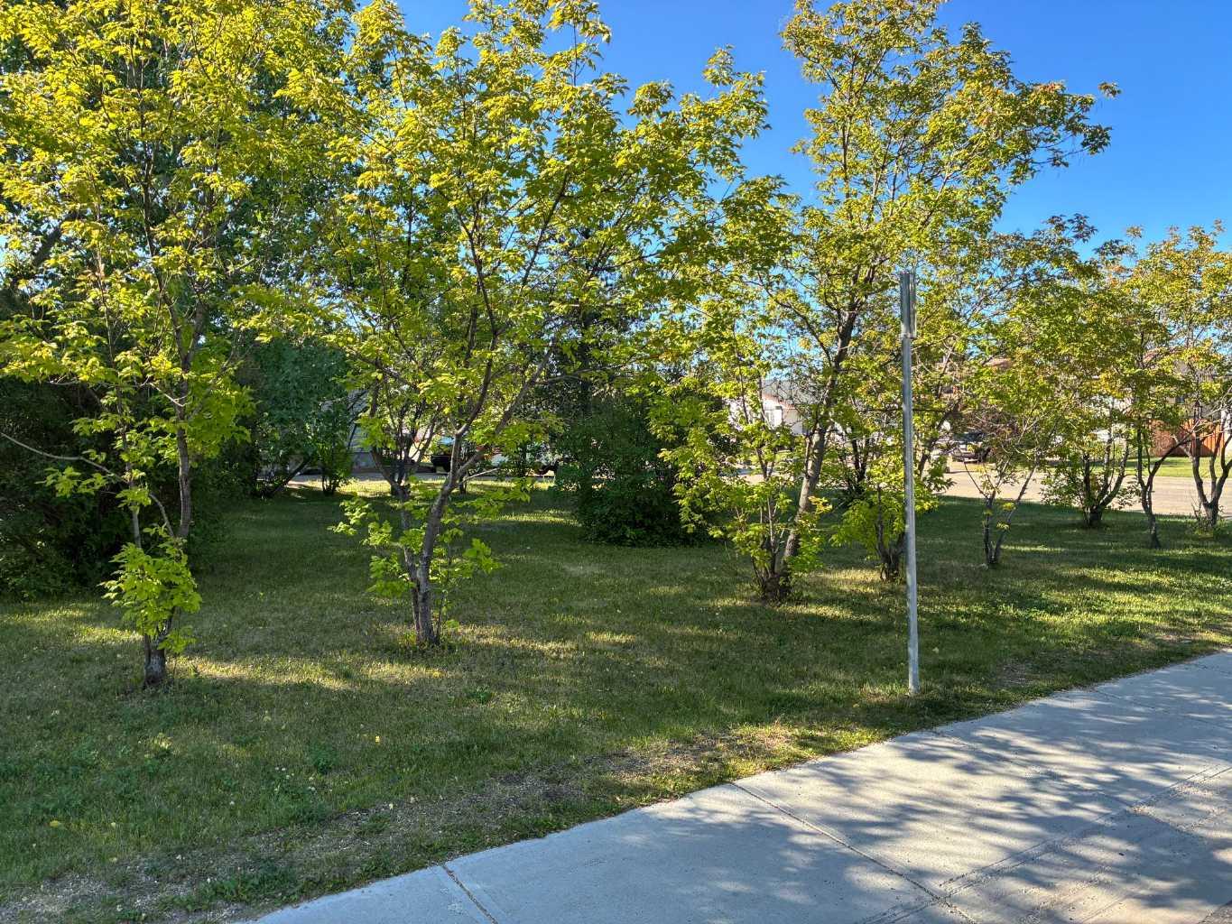 7715 Patterson Drive