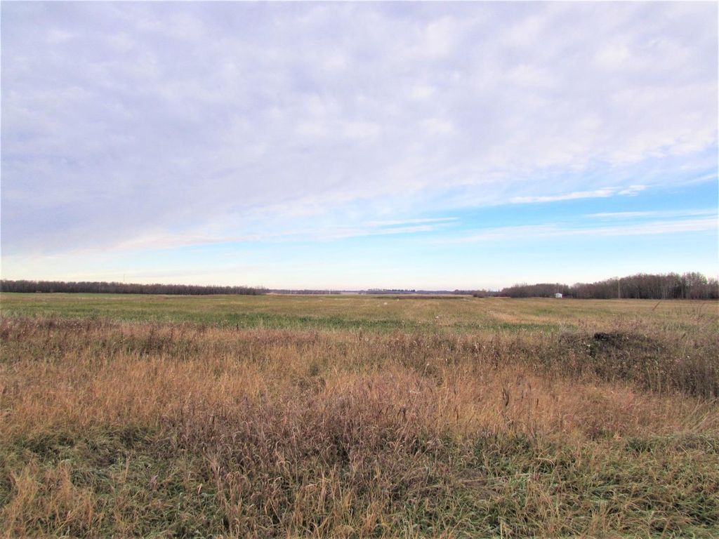 Photo of 106 Alberta Street, Kingman, AB T0B 2M0 (MLS # A1156338)