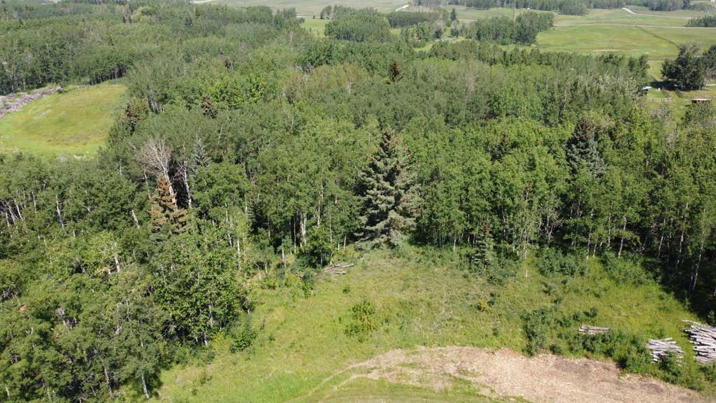 Photo of 28 Elkstone Way, Rural Rocky View County, AB T4C 2Y8 (MLS # A2338964)