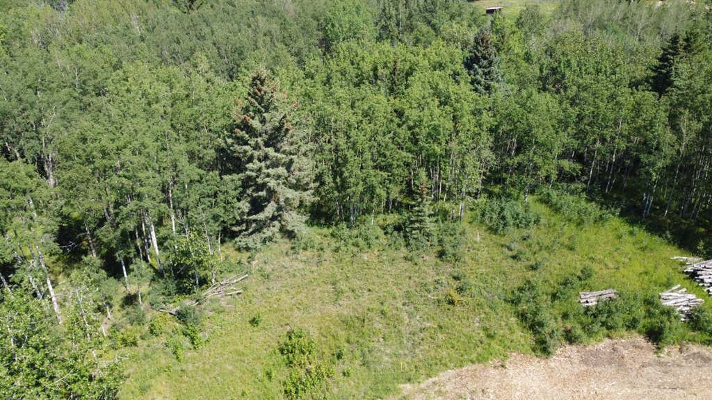 Photo of 28 Elkstone Way, Rural Rocky View County, AB T4C 2Y8 (MLS # A2338964)