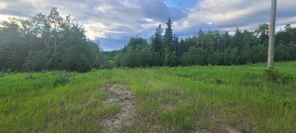 Photo of Highway 35, Rural Northern Lights, County of, AB T0H 1W0 (MLS # A2322901)