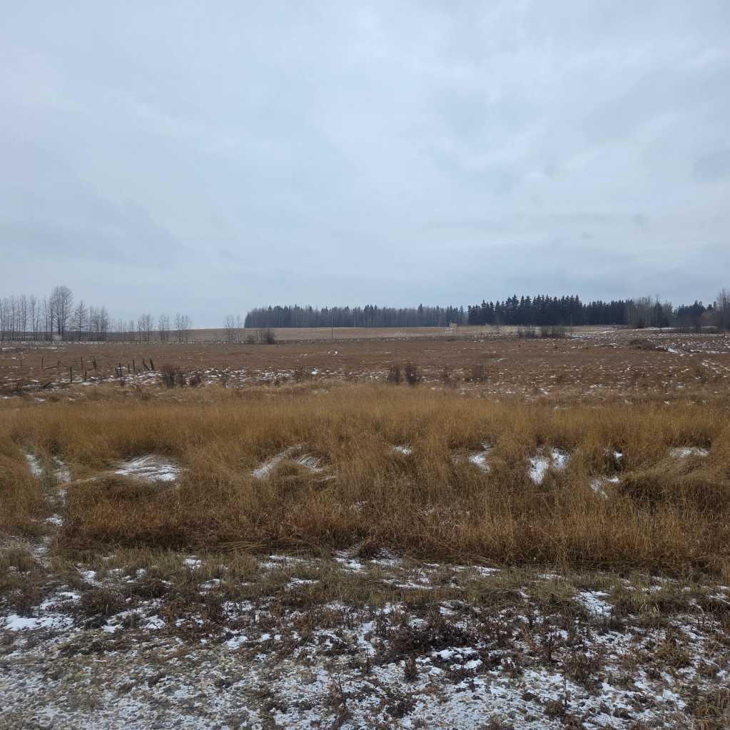 Lot 3 Range Road 175