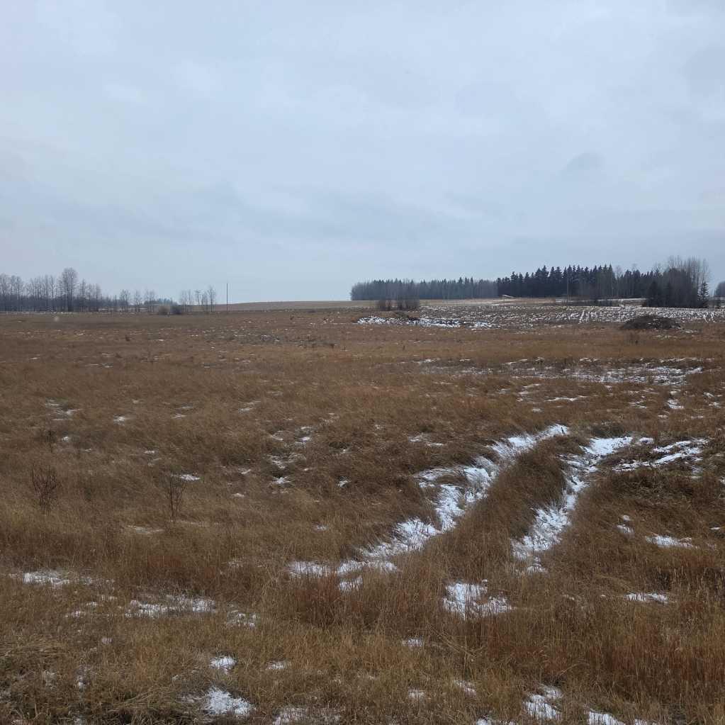 Lot 3 Range Road 175