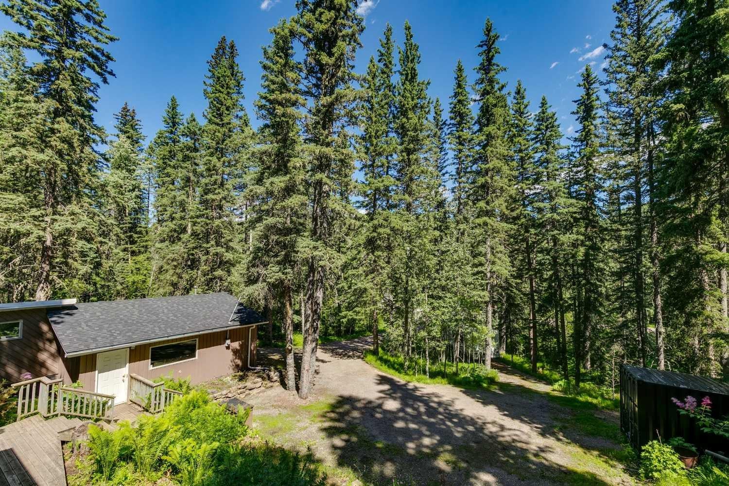 241 Mountain Lion Drive