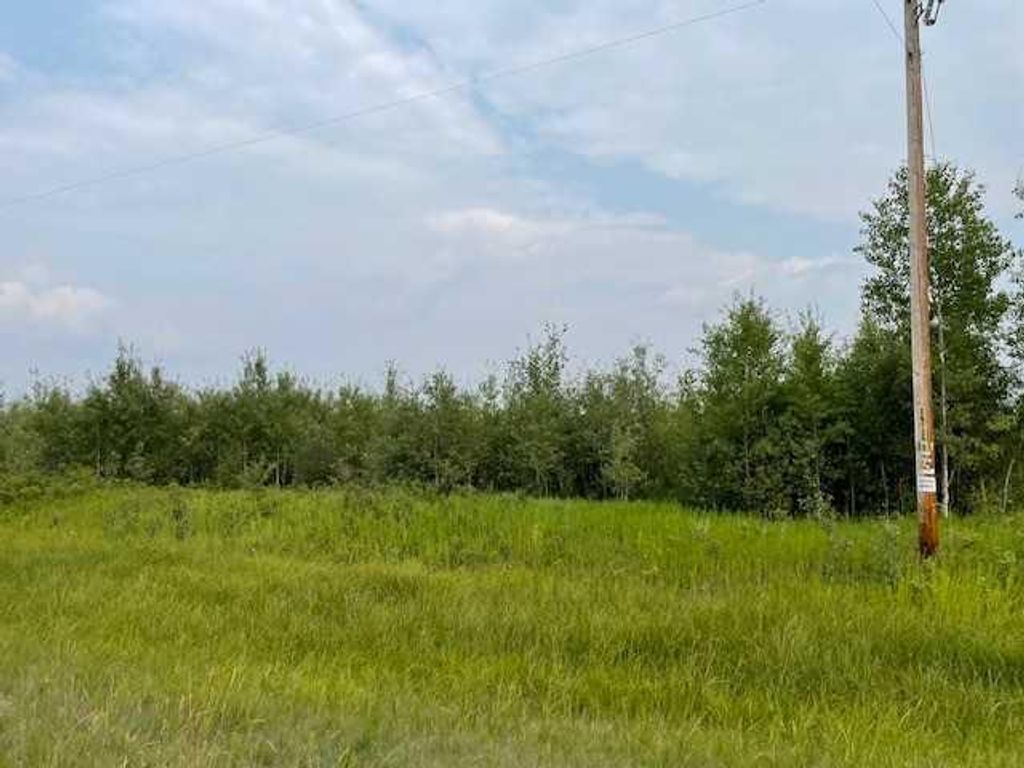 Photo of Rng Rd 190, Rural Mackenzie County, AB T0H 1Z0 (MLS # A2067866)