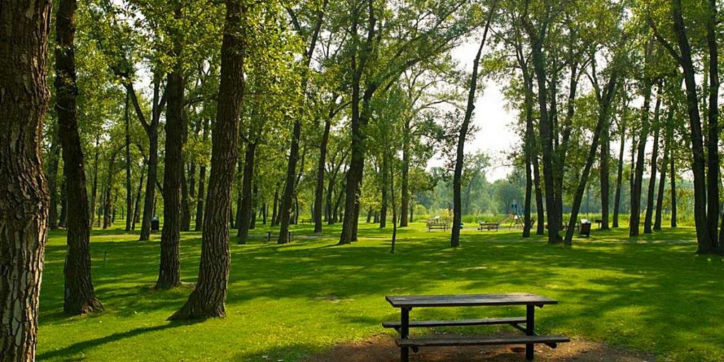 Photo of 63 inglewood Park SE #402, Calgary, AB T2G 1B7 (MLS # A2292972)