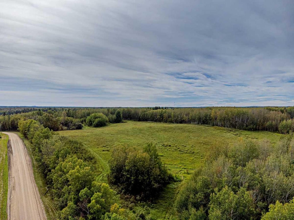 Photo of 5430 TWP ROAD 494, Rural Brazeau County, AB T0C 1W0 (MLS # A2354457)