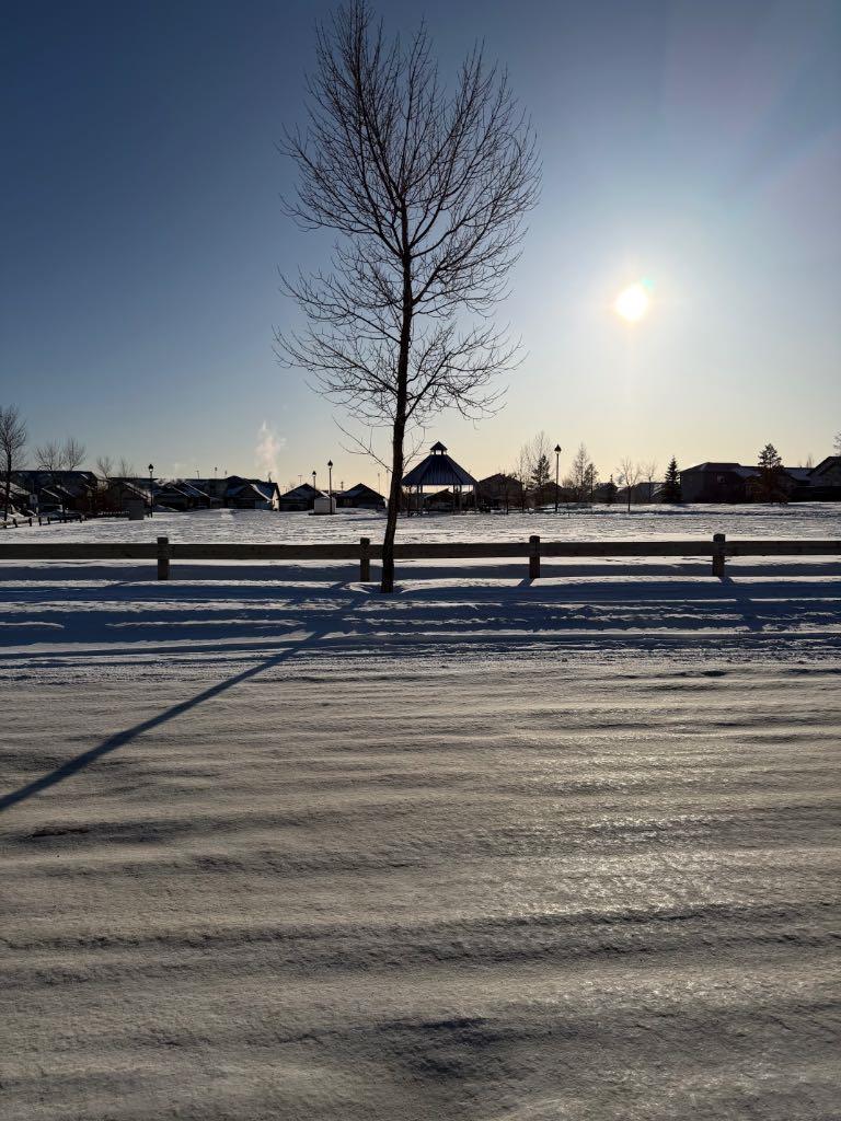 234 Pacific Crescent