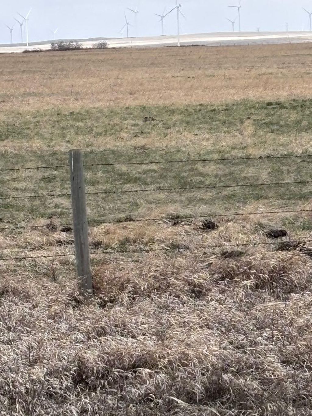 Photo of on Twp Rd 322, Consort, AB T0C 1B0 (MLS # A2308097)