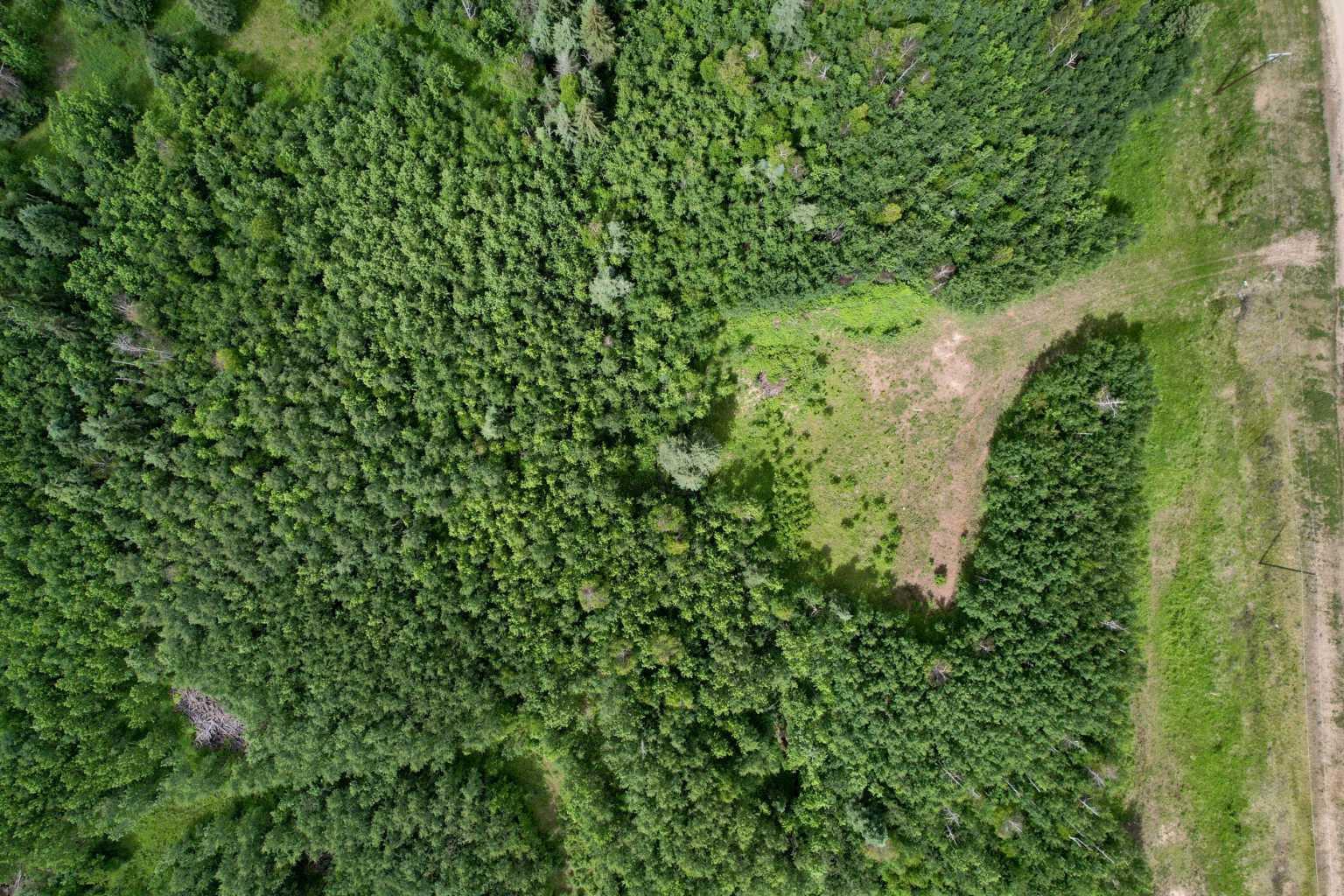 Lot 19 Mountain Springs