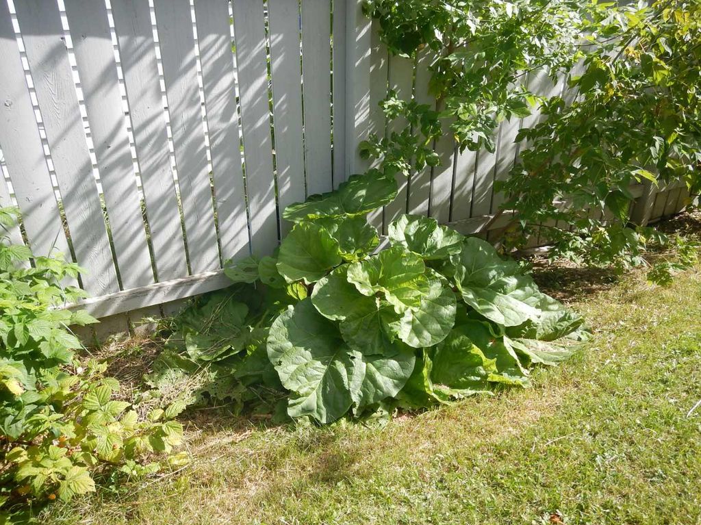 Photo of 10829 106 Avenue, Fairview, AB T0H 1L0 (MLS # A2310159)