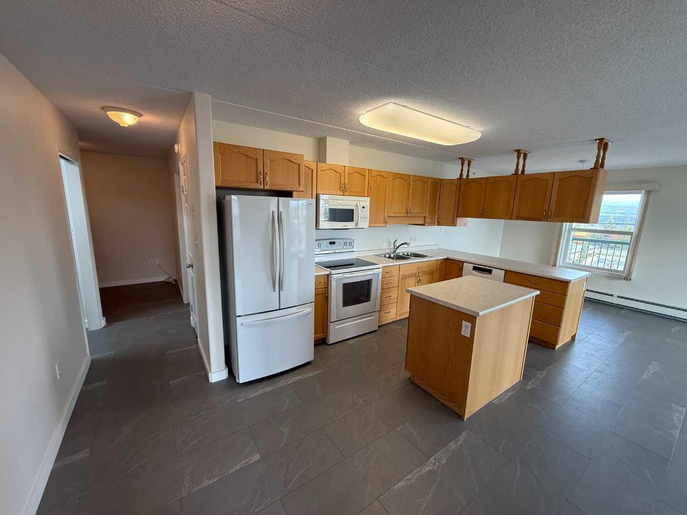 228 Pembina Avenue 204