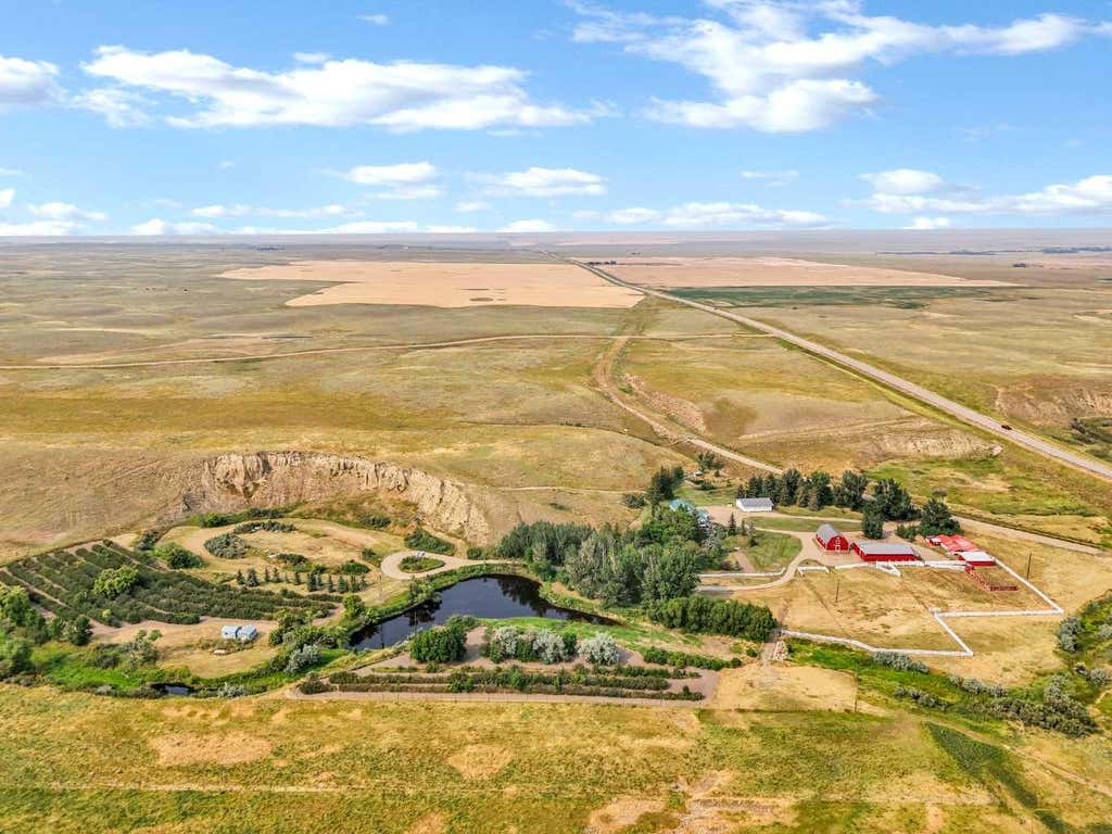 Photo of 11204 Highway 41, Rural Cypress County, AB T0J 1V0 (MLS # A2337096)
