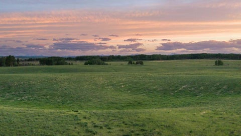 Photo of RR40 South Of Twp Rd 293, Rural Mountain View County, AB T0M 0S0 (MLS # A2341396)