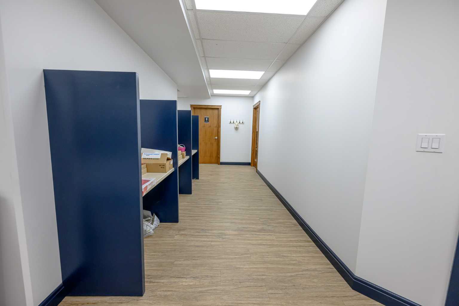 11725 105 Street Lower/Basement
