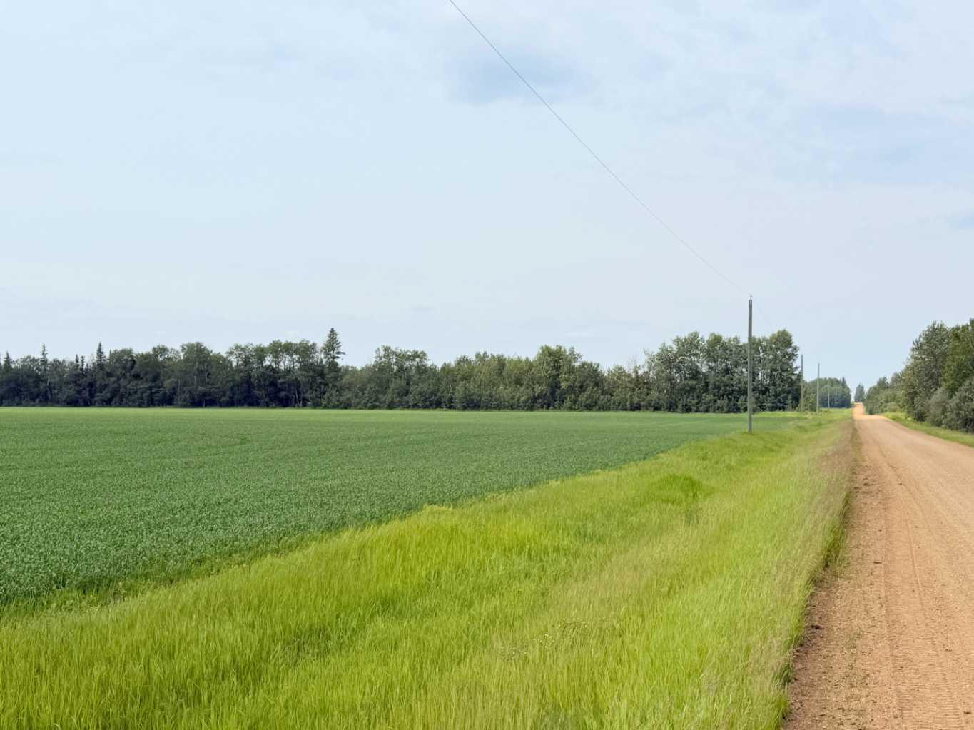 Lot 1 Township Road 663