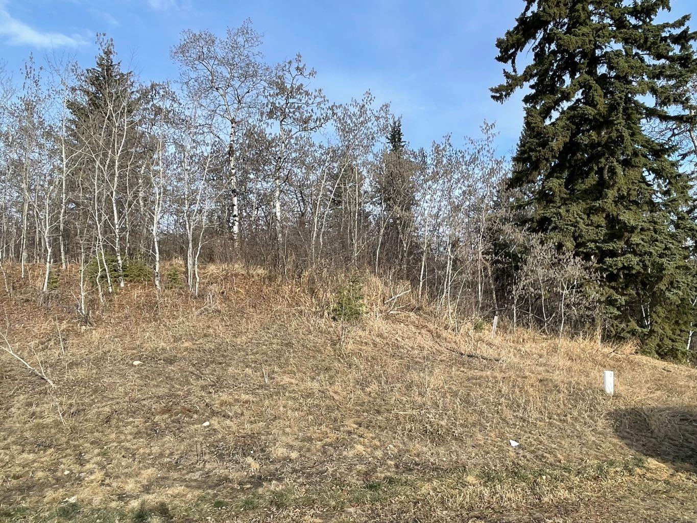 130 & 132 Wolf Run Drive