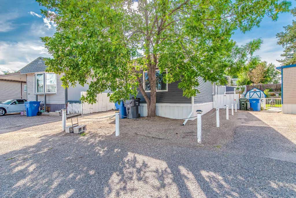 Photo of 231 Fairchild Street SW, Medicine Hat, AB T1A 7Z6 (MLS # A2338407)