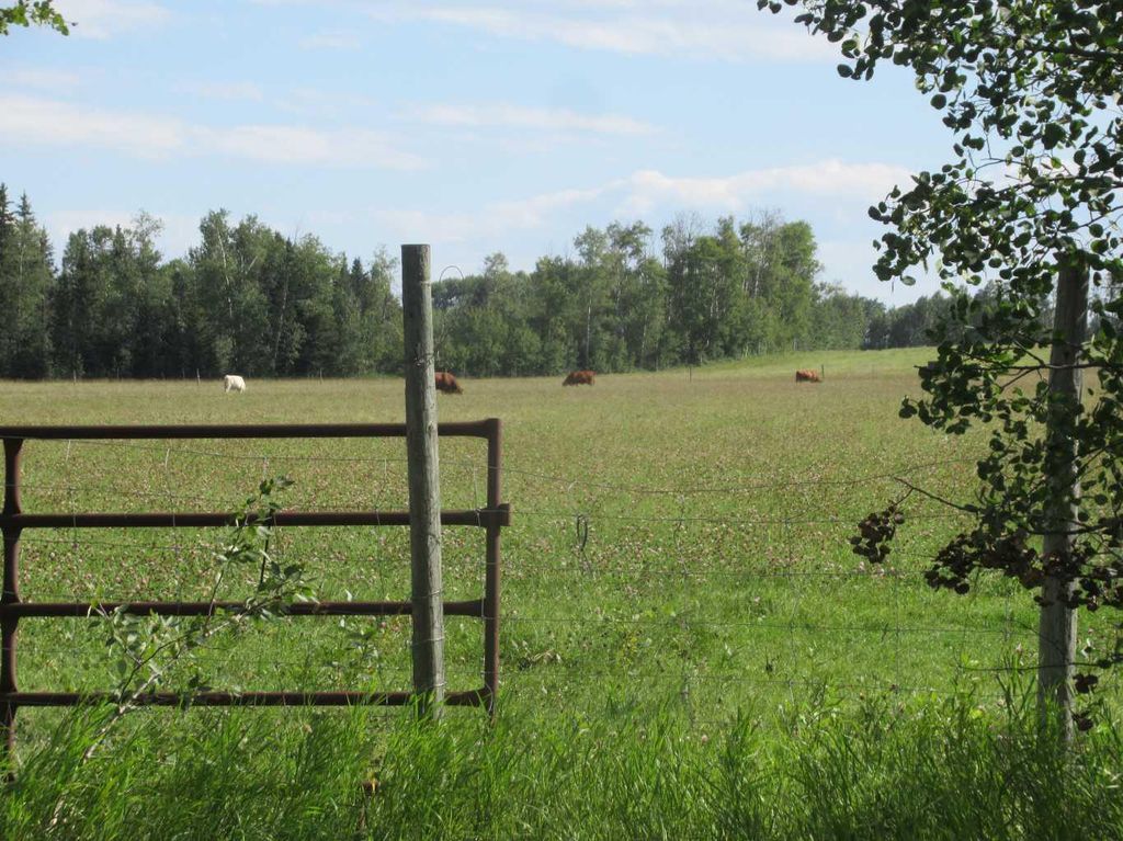 Photo of Bingley Road, Rural Clearwater County, AB T4T 1A9 (MLS # A2307520)
