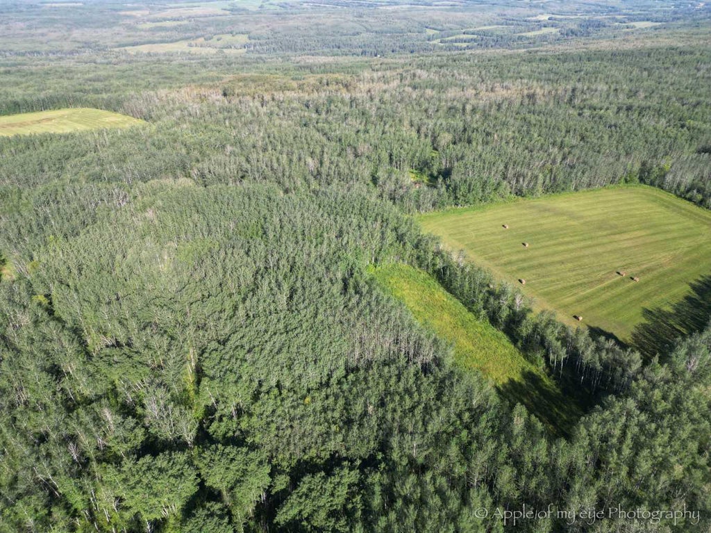 Photo of 642016 Range Road 230.2, Meanook, AB T0G 1Z0 (MLS # A2341258)