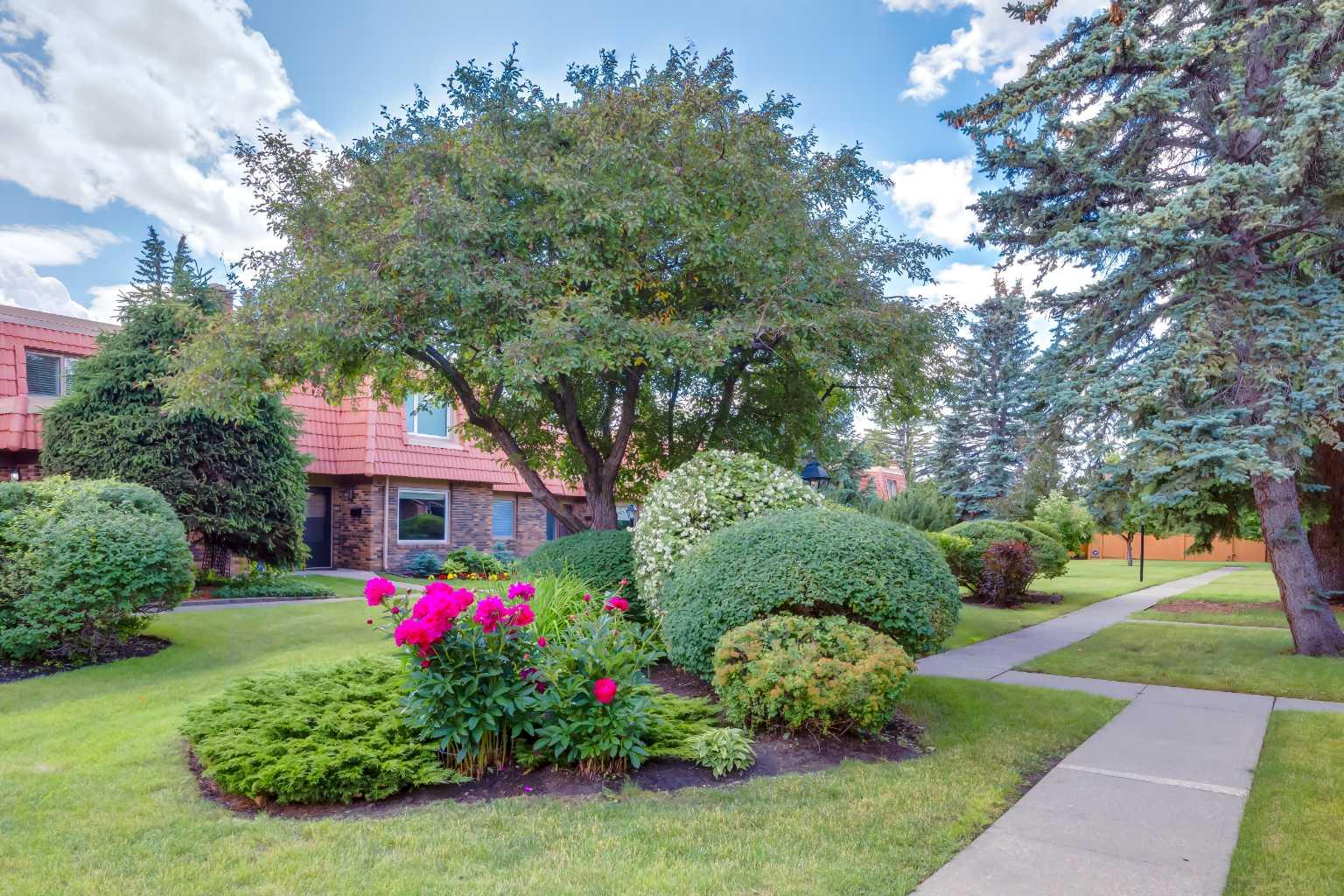 714 Willow Park Drive SE 55