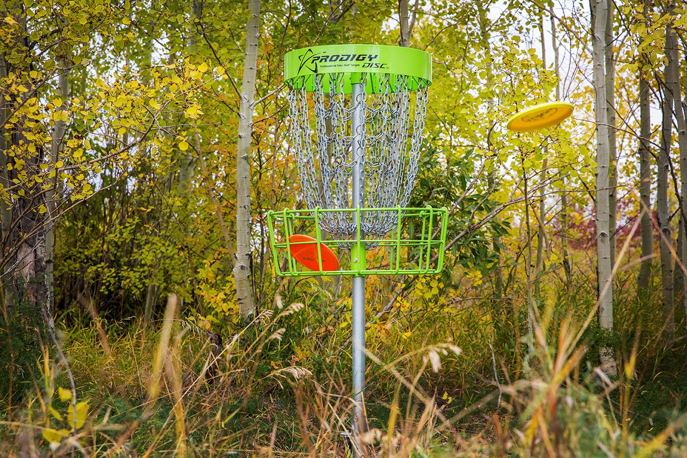 19 Cottonwood Crescent