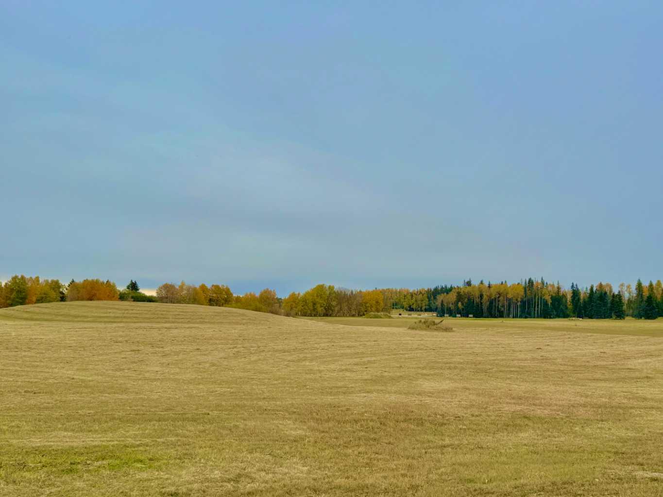 420 Valley View Close